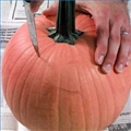 carve-pumpkin-1.3-120X120.jpg