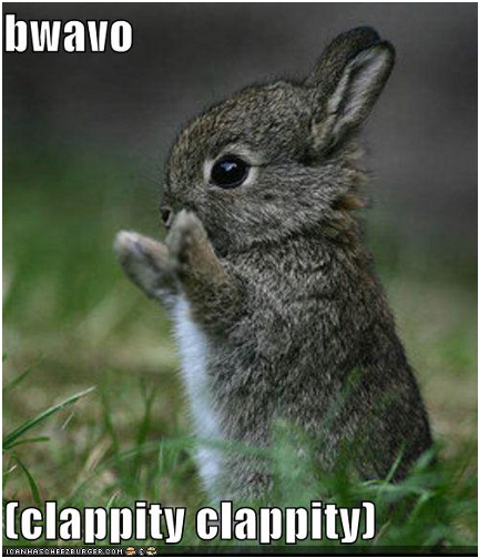 funny-pictures-bravo-bunny-1.png