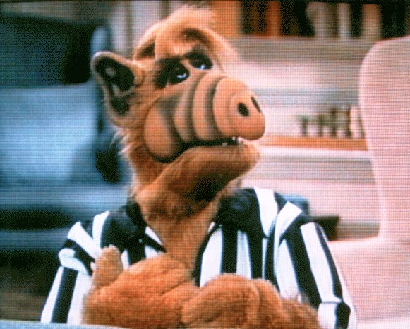 Alf-referee.jpg